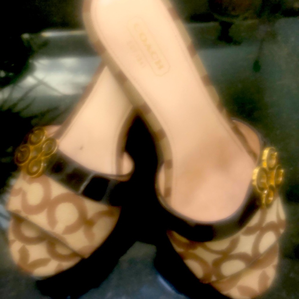 Coach slide wedges